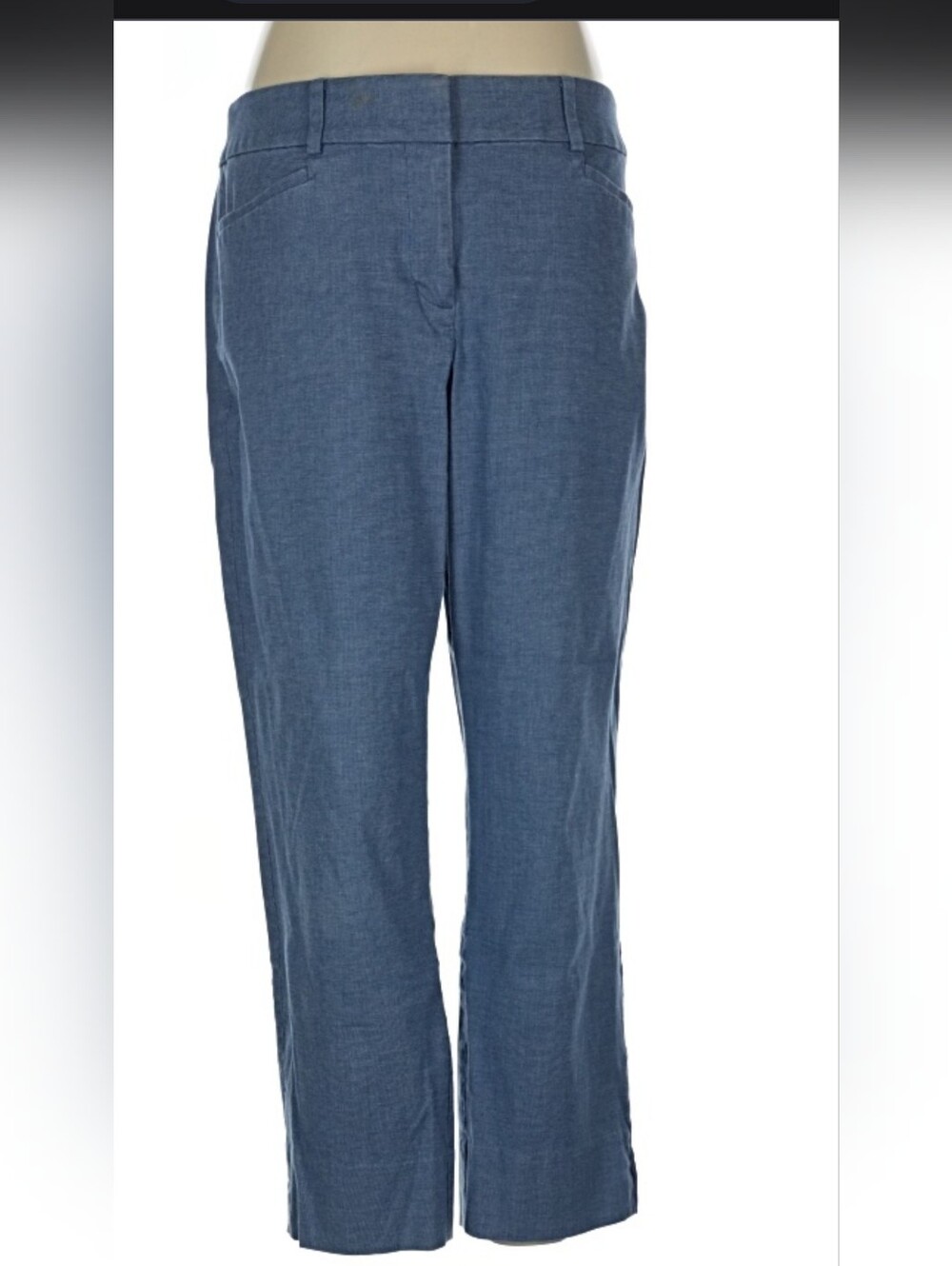 LOFT Blue Women's Straight-Leg Chinos